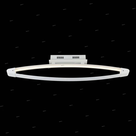 Потолочный светильник уличный ST Luce Orione SL920.102.01 (LED, 220V)