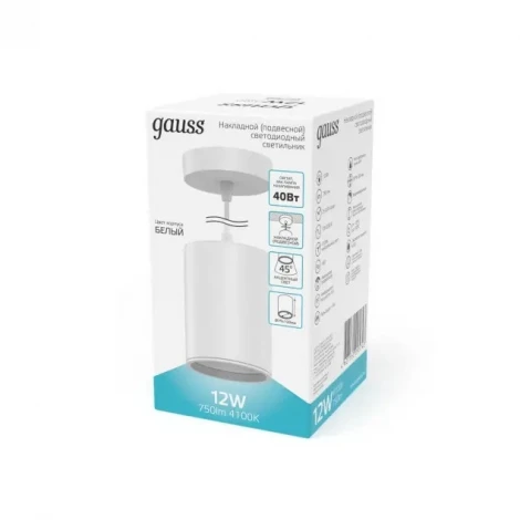 Подвесной светильник Gauss Overhead HD044