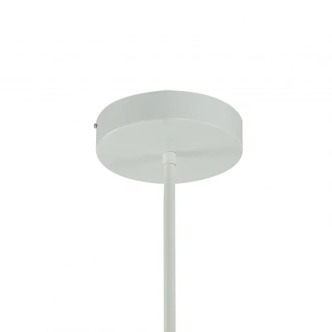 Потолочная люстра Favourite Mense 2264-12P