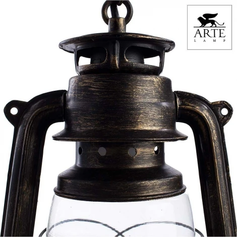 Подвесной светильник Arte Lamp Gambrinus A3843SP-1BG