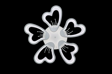 Потолочная люстра Natali Kovaltseva INNOVATION STYLE 83030