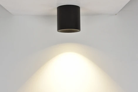 Накладной светильник светодиодный DesignLed GW GW-8701-11-BL-WW (220V, круглые)