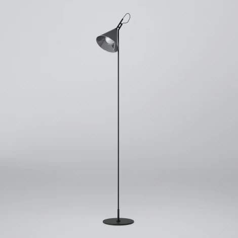 Торшер Eurosvet Enigma 01187/1