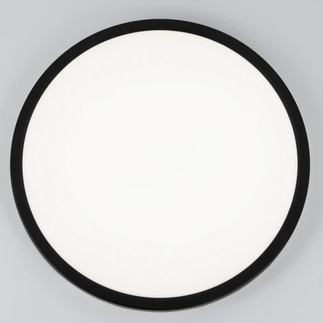 Настенно-потолочный светильник с подсветкой Citilux Basic Line CL738321VL (LED, 220V, круглые, IP40)