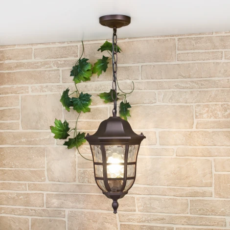 Уличный светильник подвесной Elektrostandard Dorado GL 1013H (220V, на цепи, круглые, IP44)