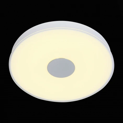 Потолочный светильник ST Luce Semplicita SL473.502.01