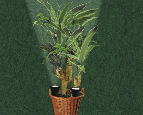 Грунтовый светильник Paulmann Plantdart 50325