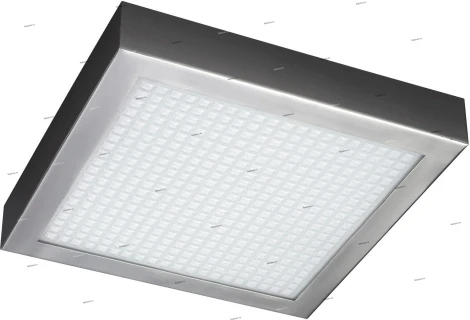 Massive Emily 30198-17-10