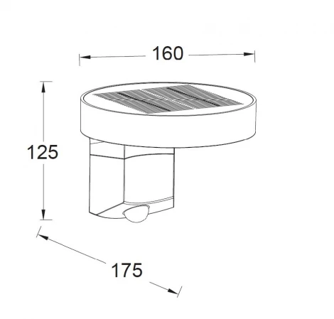 Настенный светильник уличный Oasis Light P9067-PIR