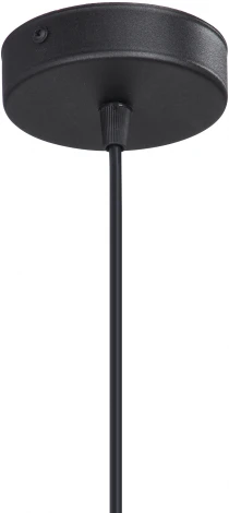 Подвесной светильник V4987-1/1S Vitaluce