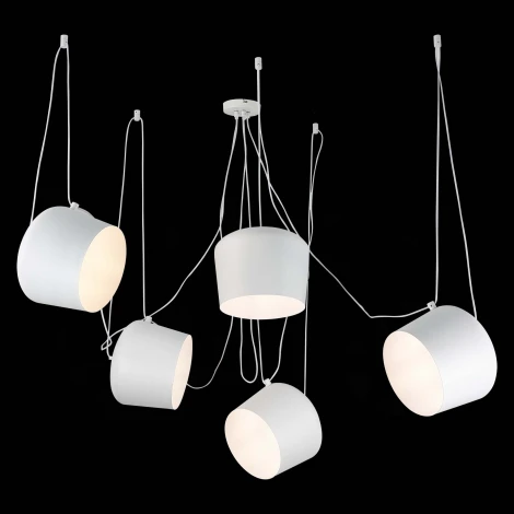 Подвесной светильник Evoluce Trieste SLE120653-05 (220V)