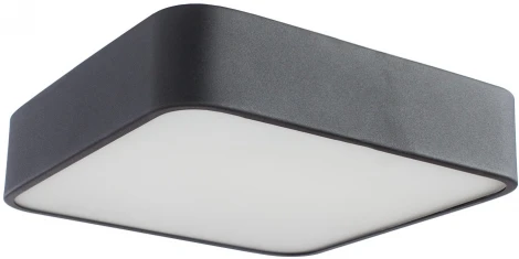 Потолочный светильник Arte Lamp Cosmopolitan A7210PL-2BK (220V)