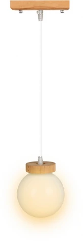 Подвесной светильник Мелодия Света PS1N 000039505