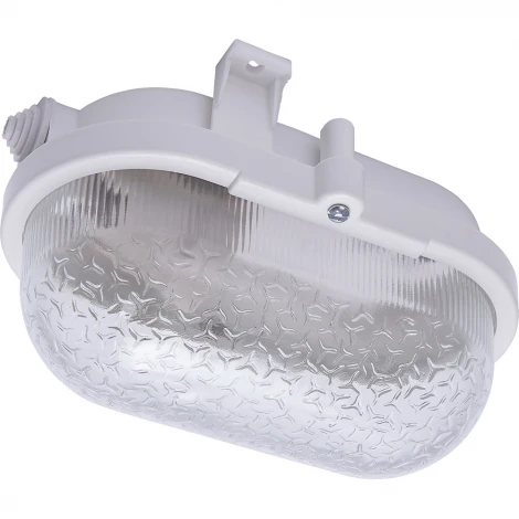 Настенный светильник уличный Feron 41405 (220V, круглые, IP54)