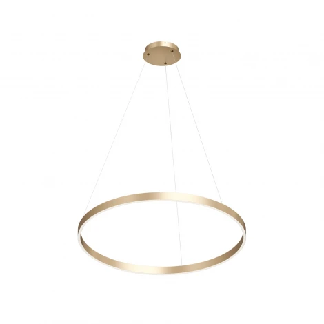 Подвесной светильник кольцо светодиодный Denkirs Raydia DK6272-SG