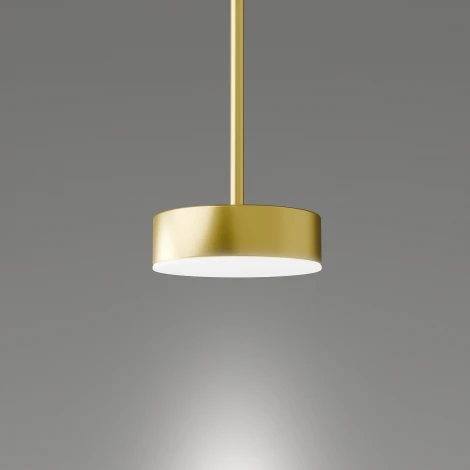 Подвесной светильник с гибким неоном Lightera Taylor LE242L-1G