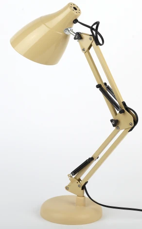 Офисная настольная лампа ЭРА N-123-Е27-40W-BG (220V, выключатель)