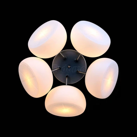 Потолочная люстра ST Luce Arancio SL482.502.05
