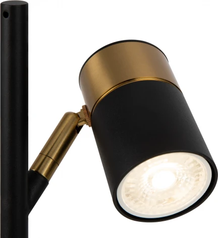 Интерьерная настольная лампа Freya Enzo FR5201TL-01B (220V, выключатель)