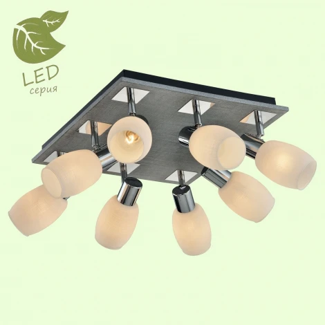 Спот Lussole Lgo Hackberry GRLSP-0051