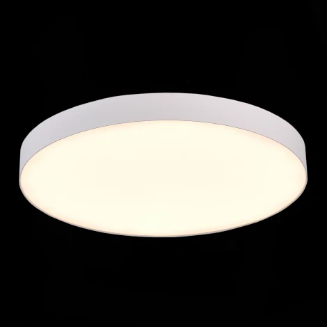 Потолочный светильник круглый ST Luce ST606.532.96 (LED, 220V, круглые)