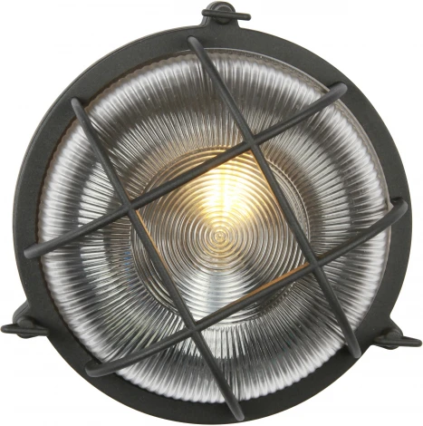 Настенный светильник уличный Favourite Pointer 3023-1W (220V, IP44)