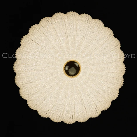 Потолочный светильник круглый светодиодный Cloyd Dessa 10372 (220V, круглые)