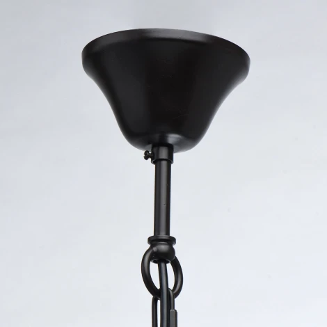 Подвесная люстра Chiaro Летиция 343011805