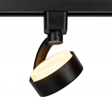 Трековый светильник однофазный ЭРА TR41-GX53 BK (220V)