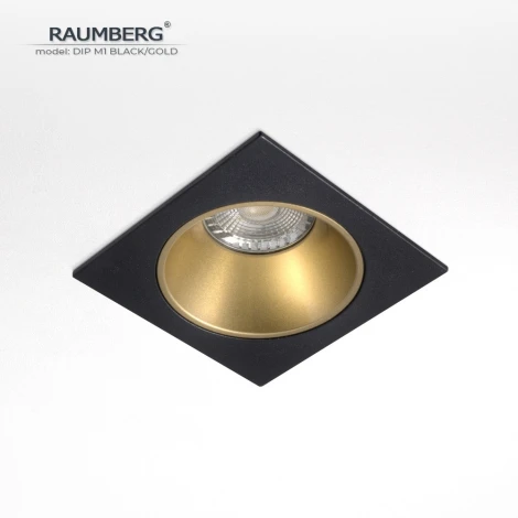 Встраиваемый светильник Raumberg DIP M1 Black/Gold