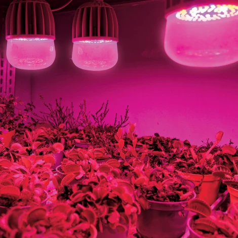 Лампочка светодиодная E27 20W груша прозрачная Uniel LED-M80-20W/SP/E27/CL ALS55WH картон