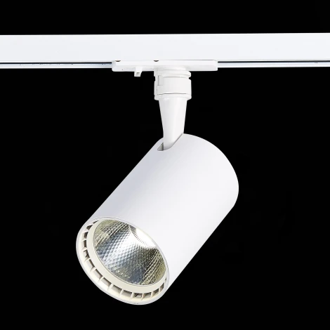 Трековый светильник ST Luce Cami ST351.546.15.36 (LED, 220V, круглые, IP22)