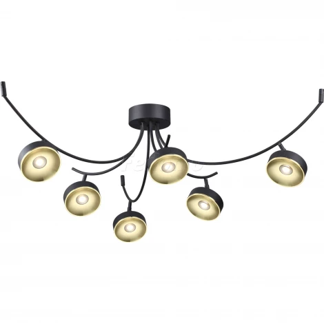 Потолочная люстра Odeon Light Fineca 3812/42CL