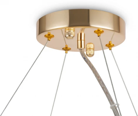 Подвесная люстра Maytoni Gracia DIA201PL-10G (220V, на тросе)