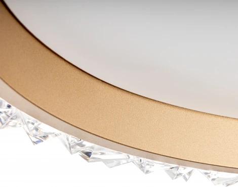 Потолочная люстра светодиодная с ДУ Ritter Galassia 51578 8