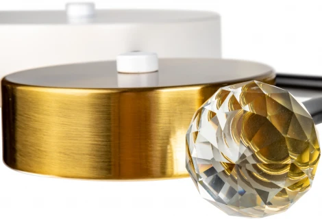 Потолочная люстра светодиодная на штанге с ДУ Ritter Scandia 51599 3