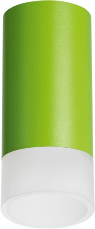 Точечный накладной светильник Lightstar Rullo R43431 (220V, круглые)