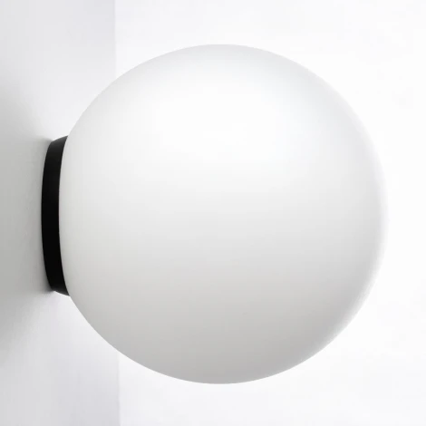 Настенно-потолочный светильник Citilux Ron CL941D20B5