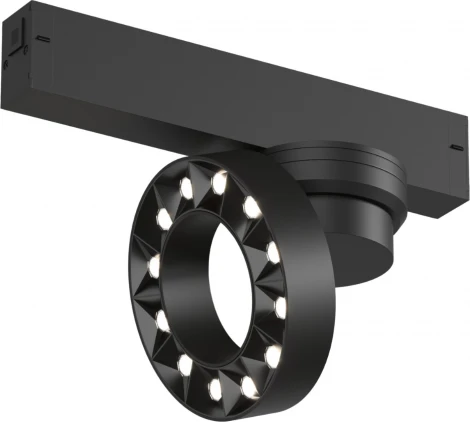 Трековый светильник 220 Denkirs Smart Grill DK8030-BK (LED, пульт управления, круглые)