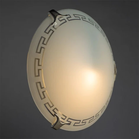 Настенно-потолочный светильник Arte Lamp Antica A4220PL-1CC