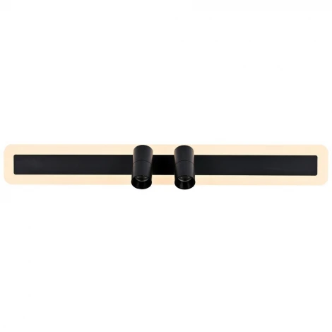 Спот Favourite Trick 4079-2C (LED, 220V, пульт управления)