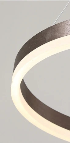 Кольцевой подвесной светильник Cruise One Lux D60 ImperiumLoft Cruise-One-Lux01 (204621-23) (LED, 220V, на тросе, кольцо)