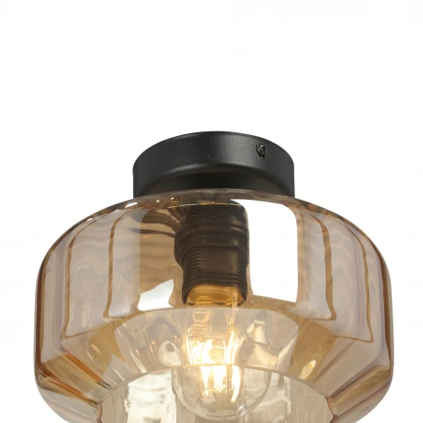 Потолочный светильник Vitaluce V2559-1/1PL