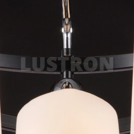 Потолочная люстра Maytoni Eurosize 6 TOC006-09-N