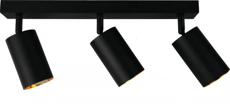 Потолочный светильник спот Brizzi Aras BR08090