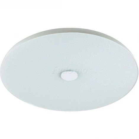 Потолочный светильник Sonex Roki Muzcolor 4629/CL