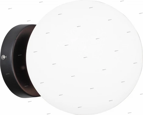 Настенно-потолочный светильник ST Luce Acini SL717.401.01