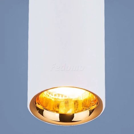 Накладной точечный светильник Elektrostandard DLR030 12W 4200K белый матовый/золото