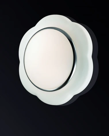Настенно-потолочный светильник Odeon Light Baha 2403/2C