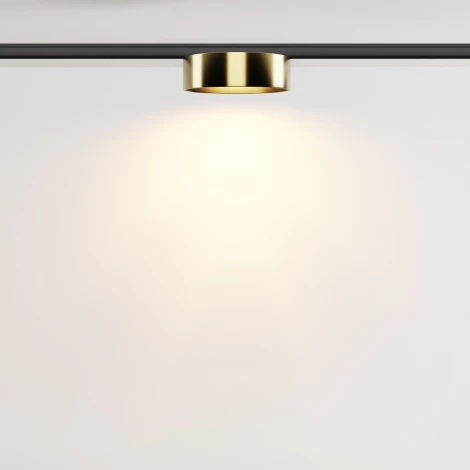 Трековый светильник магнитный 12W 24V Maytoni Zon TR189-1-12W2.7K-BBS (LED, круглые)